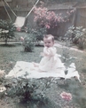 Photograph after digital restoration